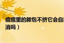 痘痘里的膿包不擠它會(huì)自動(dòng)消下去嗎（膿包痘痘不擠會(huì)自然消嗎）