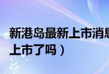 新港島最新上市消息（新港島控股集團原始股上市了嗎）
