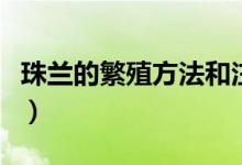 珠蘭的繁殖方法和注意事項（繁殖珠蘭的技巧）