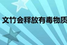 文竹會(huì)釋放有毒物質(zhì)嗎（文竹的刺可有毒嗎）
