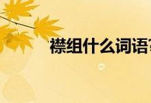襟組什么詞語(yǔ)?（襟組什么詞語(yǔ)）