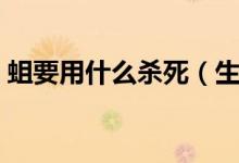 蛆要用什么殺死（生蛆了用什么方法能殺死）