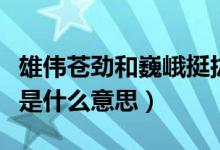 雄偉蒼勁和巍峨挺拔是什么意思啊（蒼勁挺拔是什么意思）