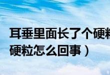 耳垂里面長(zhǎng)了個(gè)硬粒怎么辦（耳垂里面長(zhǎng)了個(gè)硬粒怎么回事）