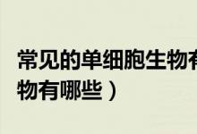 常見的單細胞生物有哪五種（常見的單細胞生物有哪些）
