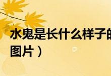 水鬼是長什么樣子的圖片（水鬼是什么樣子的圖片）