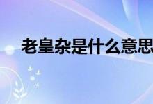 老皇雜是什么意思（鐵皇雜是什么意思）