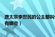 唐太宗李世民的公主都叫什么名字（唐朝李世民時(shí)代的公主有哪些）