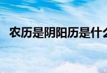 農(nóng)歷是陰陽歷是什么意思（農(nóng)歷是陰歷嗎）