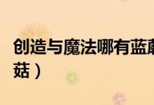 創(chuàng)造與魔法哪有藍蘑菇（創(chuàng)造與魔法哪有藍蘑菇）