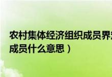 農(nóng)村集體經(jīng)濟組織成員界定是什么意思（農(nóng)村集體經(jīng)濟組織成員什么意思）