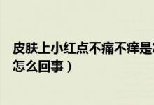 皮膚上小紅點不痛不癢是怎么回事（皮膚起小紅點不痛不癢怎么回事）