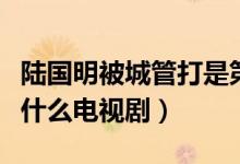 陸國(guó)明被城管打是第幾集（陸國(guó)明被城管打是什么電視?。?class=
