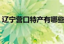 遼寧營(yíng)口特產(chǎn)有哪些（遼寧營(yíng)口特產(chǎn)是什么）