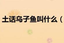 土話烏子魚叫什么（土語混子魚本名是什么）