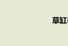 草缸養(yǎng)什么魚