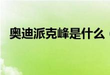 奧迪派克峰是什么（奧迪派克峰是什么車）