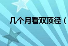 幾個月看雙頂徑（幾個月看雙頂徑最準）