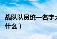 戰(zhàn)隊(duì)隊(duì)員統(tǒng)一名字大全（戰(zhàn)隊(duì)隊(duì)員統(tǒng)一名字有什么）