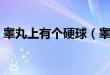 睪丸上有個硬球（睪丸里面有個硬球怎么辦）