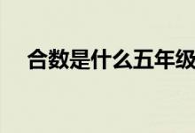 合數(shù)是什么五年級(jí)（合數(shù)是什么有哪些）