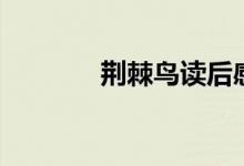 荊棘鳥(niǎo)讀后感（讀后感講解）