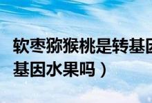 軟棗獼猴桃是轉基因水果嗎（軟棗獼猴桃是轉基因水果嗎）