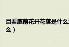且看庭前花開(kāi)花落是什么意思（看庭前花開(kāi)花落下一句是什么）