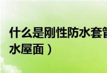 什么是剛性防水套管問答知識（什么是剛性防水屋面）