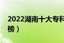 2022湖南十大?？茖W校排名（高職院校排行榜）
