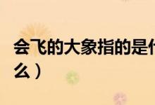 會(huì)飛的大象指的是什么（想飛的大象講述了什么）