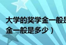 大學的獎學金一般是怎么評選的（大學的獎學金一般是多少）