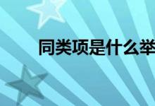 同類項(xiàng)是什么舉例（同類項(xiàng)是什么）
