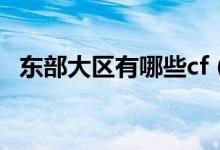 東部大區(qū)有哪些cf（東部大區(qū)有哪幾個(gè)區(qū)）