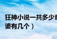狂神小說一共多少章（小說狂神主角最后的老婆有幾個(gè)）