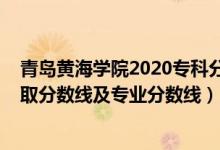 青島黃海學院2020?？品謹?shù)（青島黃海學院2021年各省錄取分數(shù)線及專業(yè)分數(shù)線）