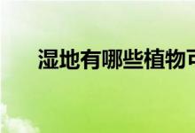 濕地有哪些植物可以生長（生活環(huán)境）