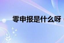 零申報(bào)是什么呀（零申報(bào)是什么意思）