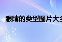 眼睛的類型圖片大全（眼睛的類型有幾種）