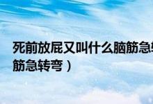 死前放屁又叫什么腦筋急轉(zhuǎn)彎兩個字（死前放屁又叫什么腦筋急轉(zhuǎn)彎）