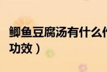 鯽魚豆腐湯有什么作用呢（鯽魚豆腐湯有什么功效）