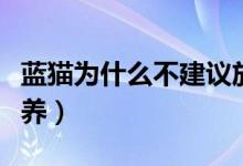 藍(lán)貓為什么不建議放在臥室(藍(lán)貓為什么不能養(yǎng))