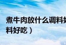 煮牛肉放什么調(diào)料好吃竅門(mén)（煮牛肉放什么調(diào)料好吃）