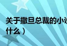 關于撒旦總裁的小說（關于撒旦總裁的小說有什么）