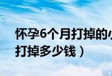 懷孕6個月打掉的小孩怎么處理（懷孕6個月打掉多少錢）