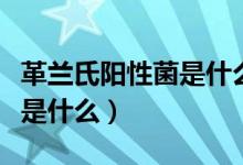 革蘭氏陽性菌是什么病嚴重嗎（革蘭氏陽性菌是什么）