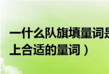 一什么隊(duì)旗填量詞是什么（“一什么隊(duì)旗”填上合適的量詞）