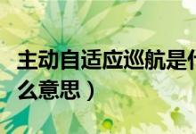 主動(dòng)自適應(yīng)巡航是什么意思（自適應(yīng)巡航是什么意思）