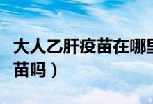 大人乙肝疫苗在哪里預(yù)約（大人需要打乙肝疫苗嗎）