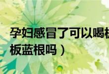 孕婦感冒了可以喝板藍(lán)根（孕婦感冒了可以喝板藍(lán)根嗎）